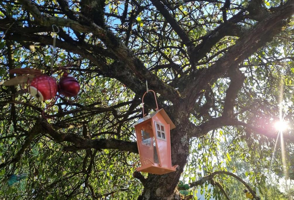 Appartamento La Fruitière Chaudenay Esterno foto