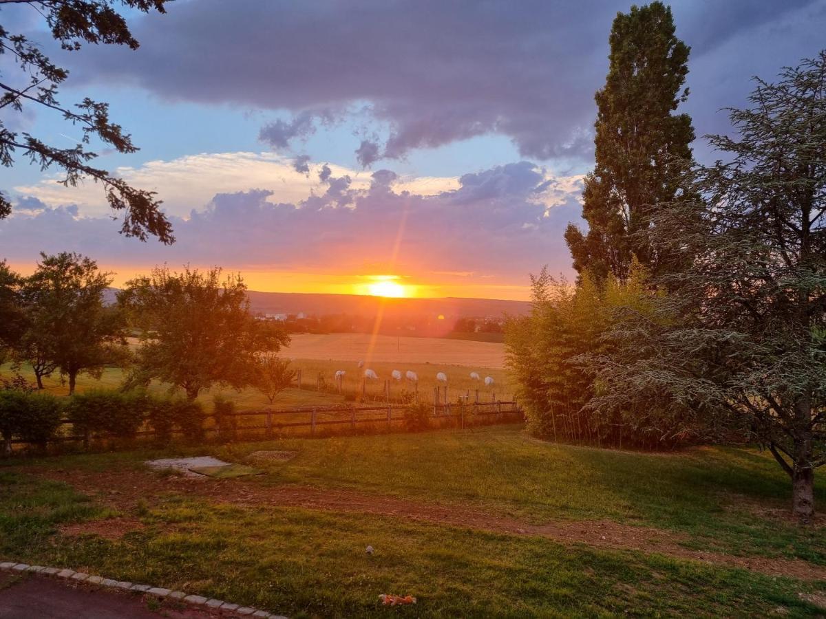 Appartamento La Fruitière Chaudenay Esterno foto