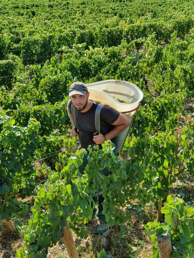 Appartamento La Fruitière Chaudenay Esterno foto