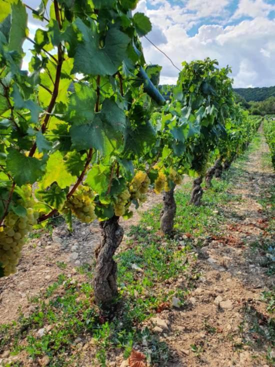 Appartamento La Fruitière Chaudenay Esterno foto