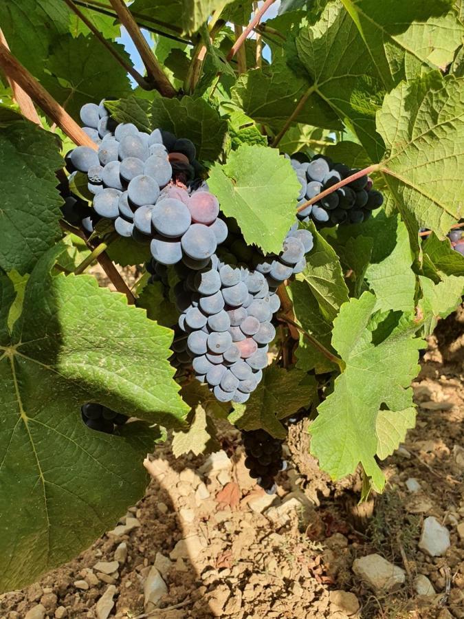 Appartamento La Fruitière Chaudenay Esterno foto