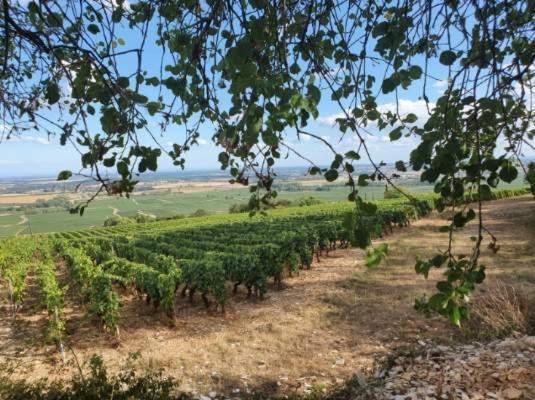 Appartamento La Fruitière Chaudenay Esterno foto