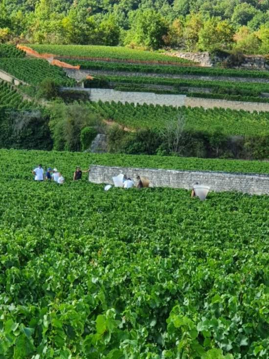 Appartamento La Fruitière Chaudenay Esterno foto