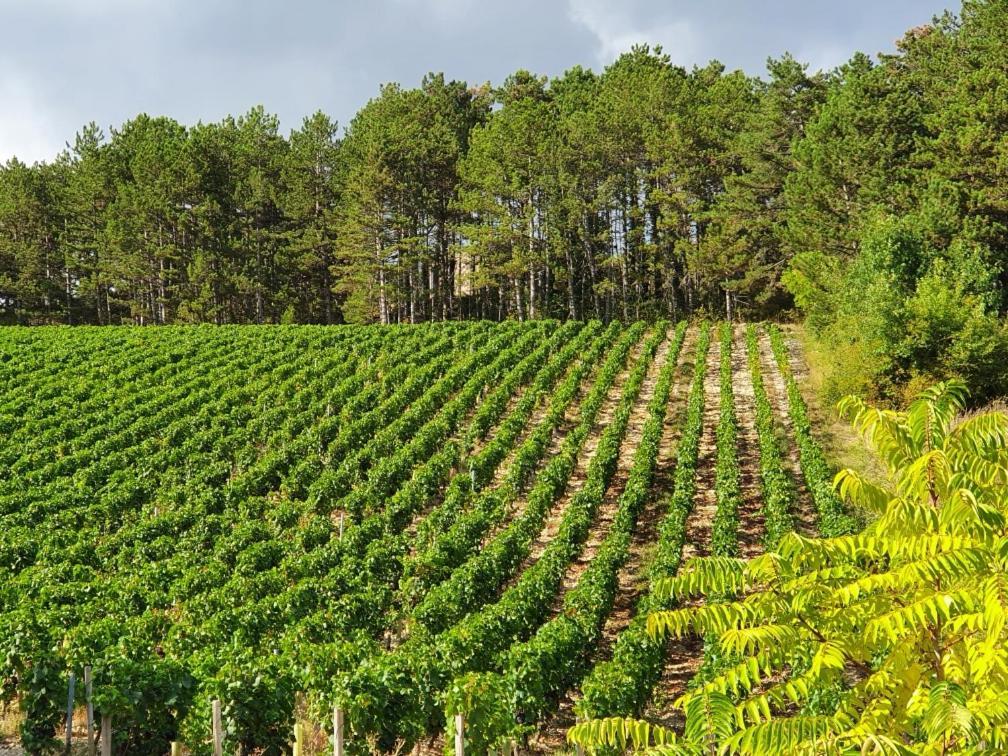 Appartamento La Fruitière Chaudenay Esterno foto