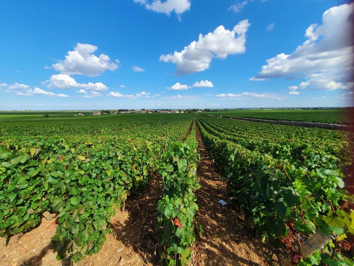Appartamento La Fruitière Chaudenay Esterno foto