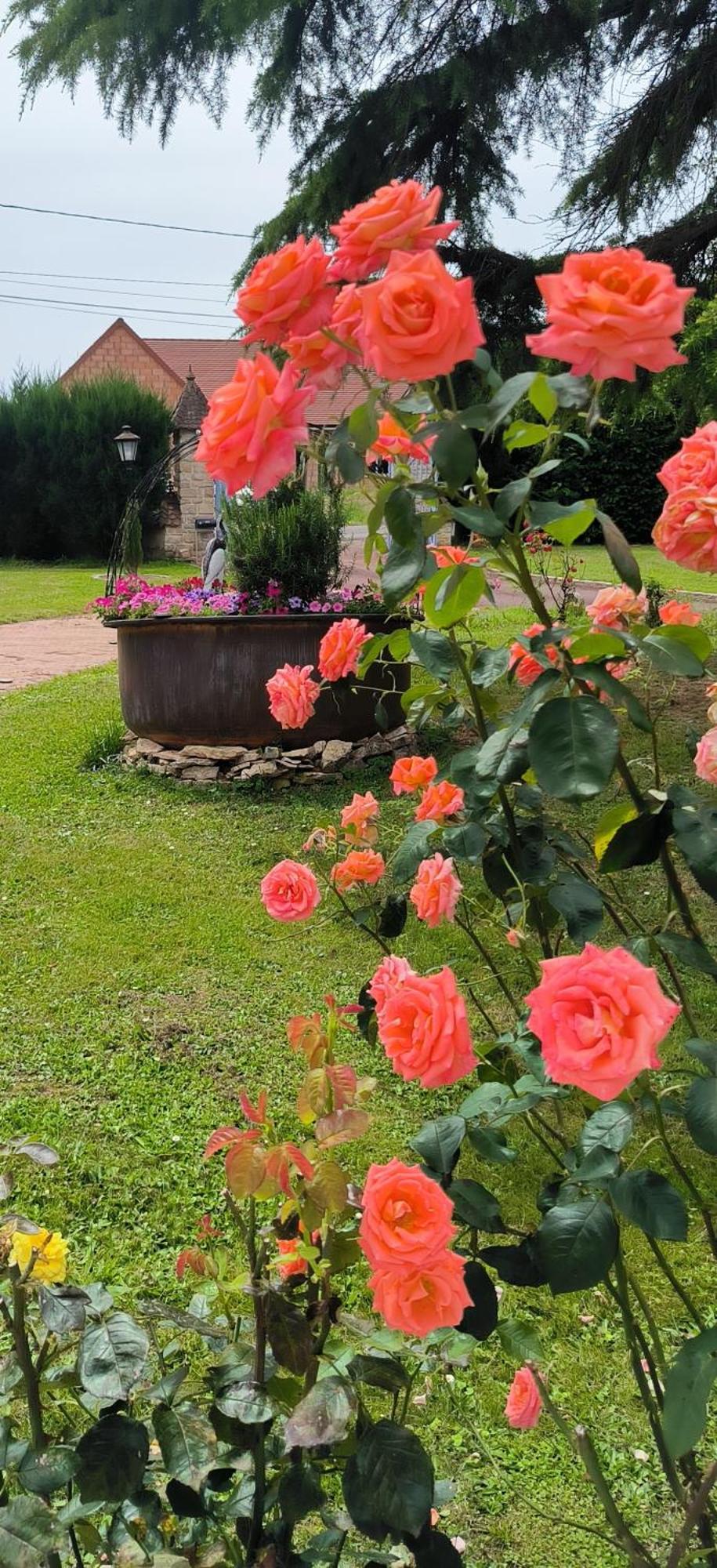 Appartamento La Fruitière Chaudenay Esterno foto