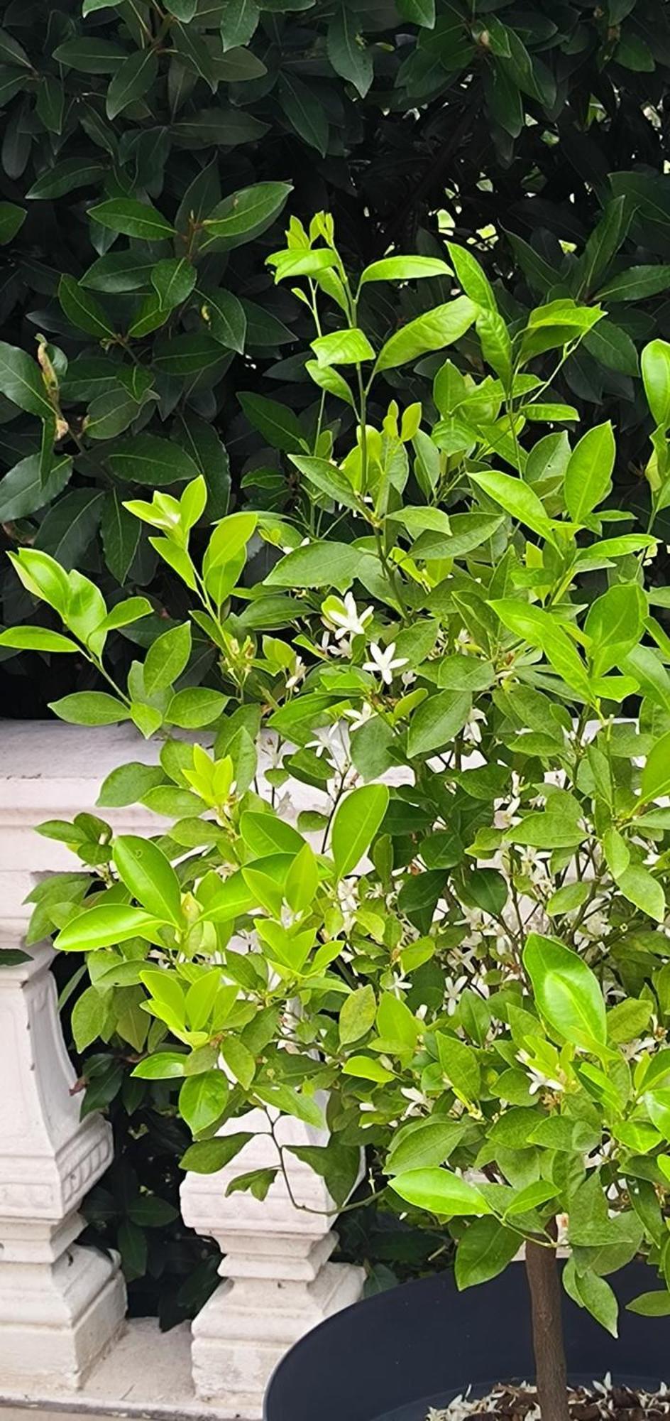 Appartamento La Fruitière Chaudenay Esterno foto