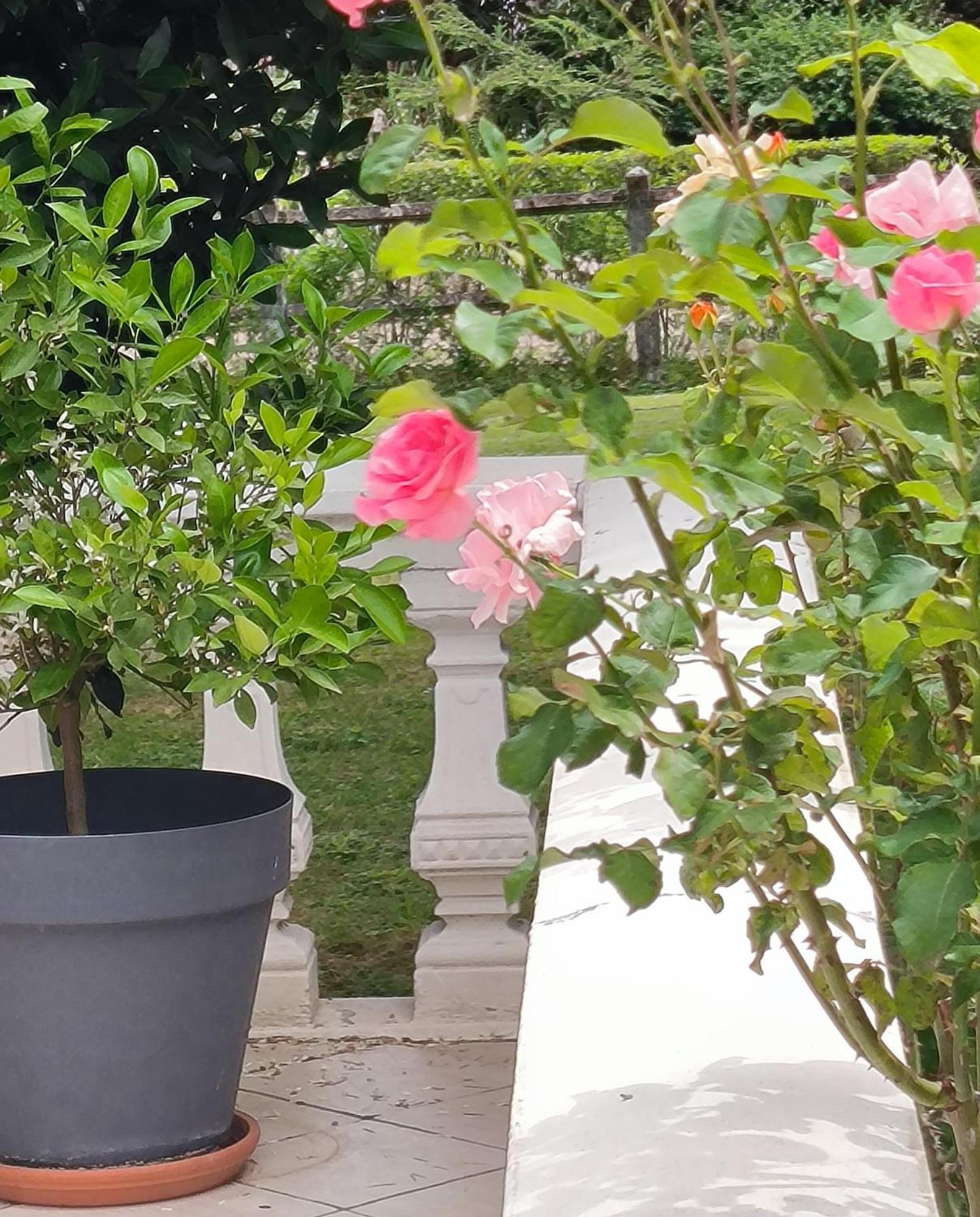 Appartamento La Fruitière Chaudenay Esterno foto